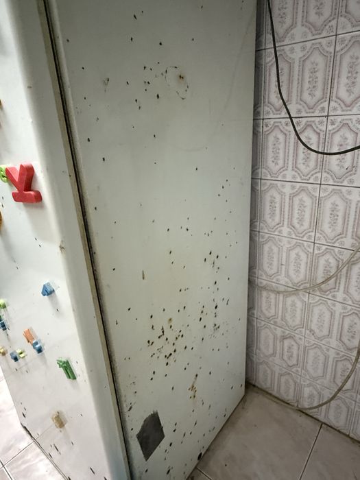 Figorifico  com marcas de uso