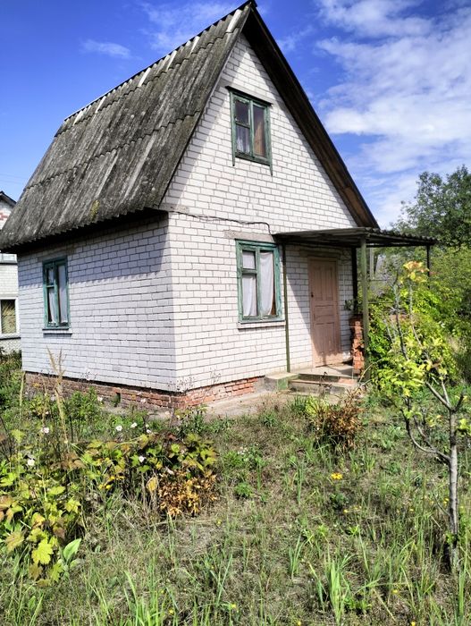 ДАЧА   біля лісу, 1-ша лінія