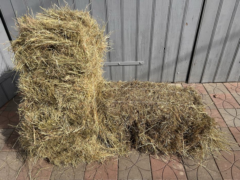 Сіно в тюках, урожай 2025