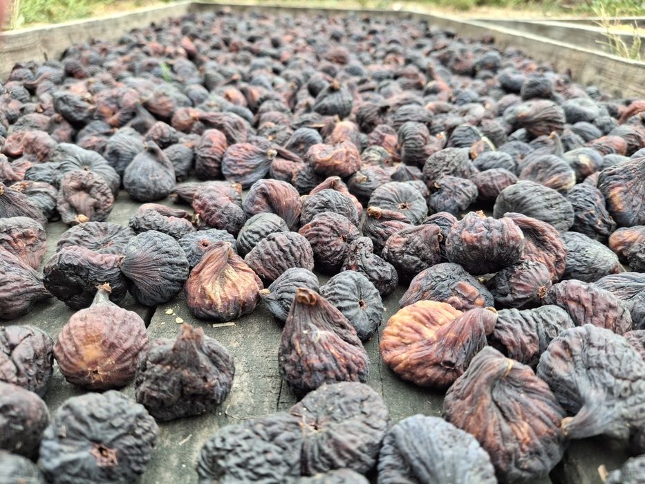 Figos preto seco