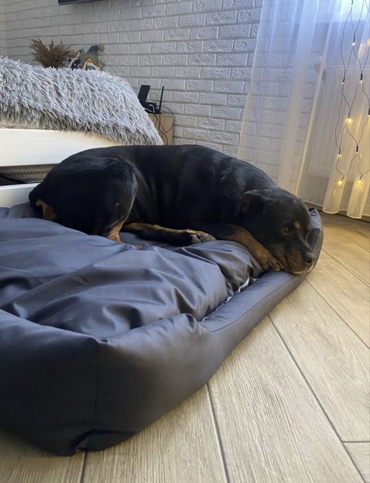 Лежак для собак лежанка для любых пород съемный чехол оксфорд