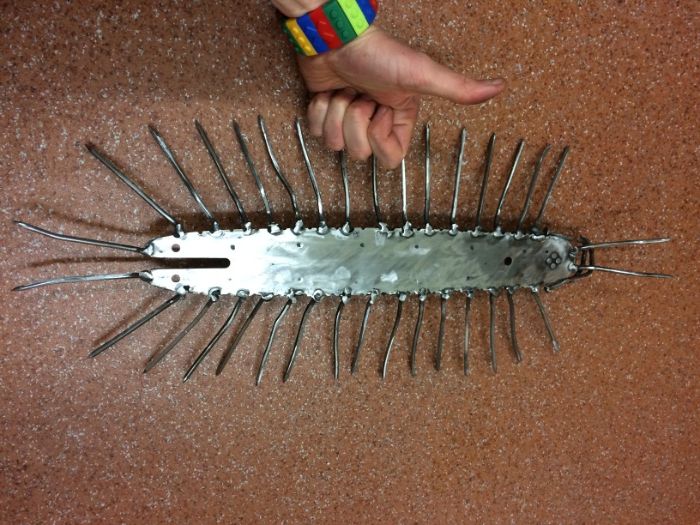 metaloplastyka - wij drewniak Lithobius forficatus