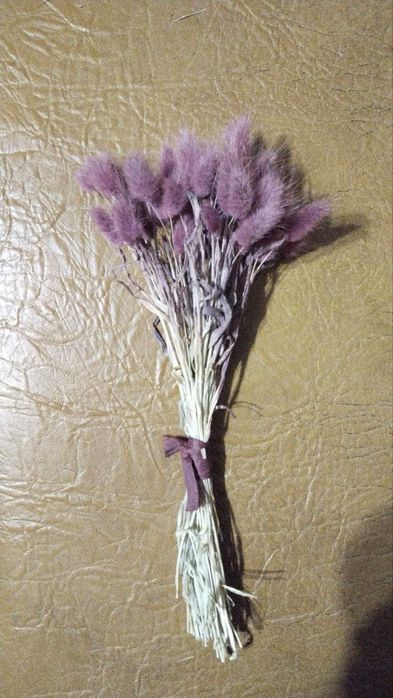 Декоративний лагурус в букети  декор