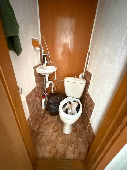 Здається приміщення кабінетного типу з ремонтом 44 кв.м. Добре місце.