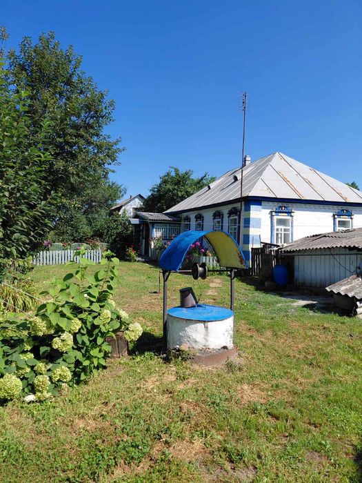 Будинок у центрі села.