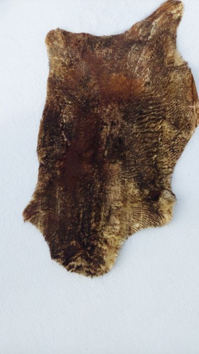 Naturalne skóry owcze super cena 2 sztuki