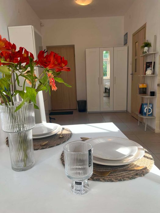 Studio 27 m² Zabytkowy Budynek Prywatny Park + Parking - View 3