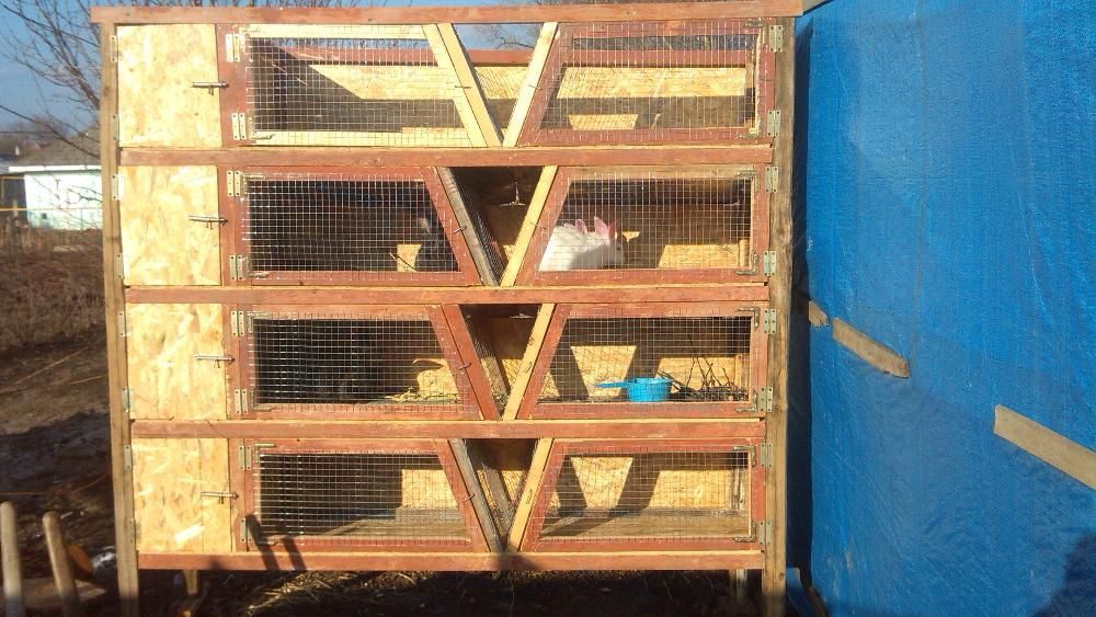 Клетка для кролей, кролятник