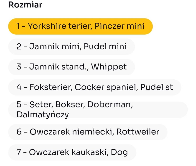 Majtki na cieczkę dla psa rozm 3 - Jamnik stand., Whippet