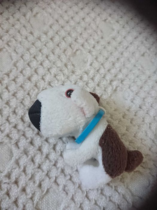 Maskotka piesek mini the dog