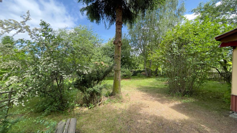 Działka ROD Wieniawskiego 297 m² w Rzeszowie | Klimatyczna, zaciszna, z domkiem i wodą - Widok 2