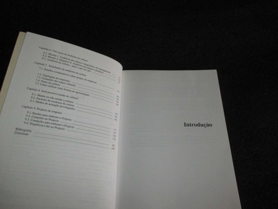 Livro Cultura de Empresa Auditoria e Mudança Maurice Thévenet