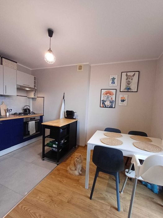 Brynów: 1. piętro, 2 balkony, po remoncie, wyposażone