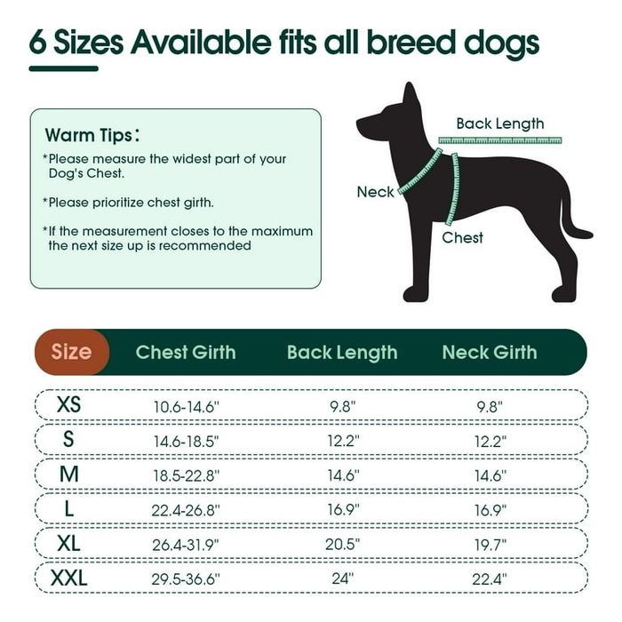 Kombinezon xs do psów pooperacyjny Przeciw lizaniu