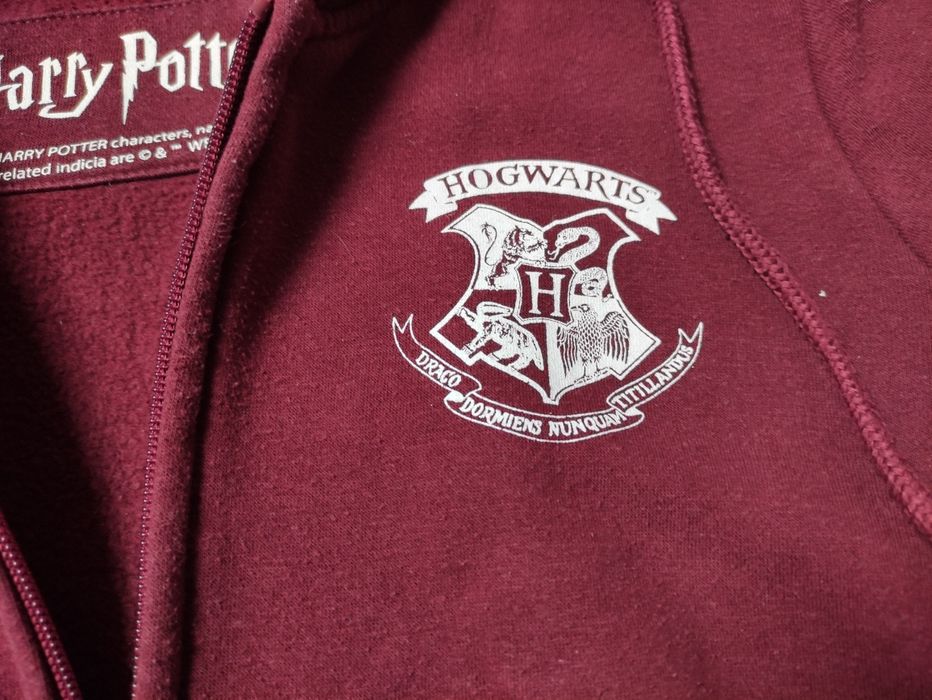 Bluza z kapturem Harry Potter , house roz.s , 164