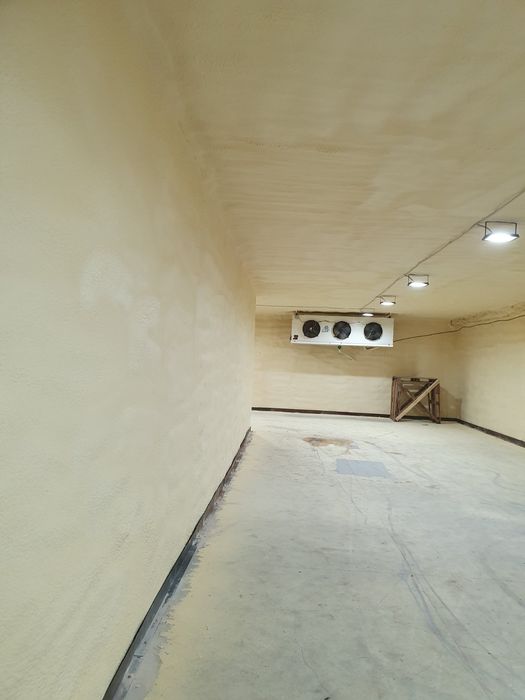 Аренда Холодильных морозильных камер