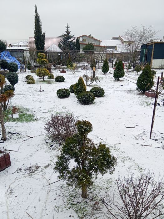 Сдам дом длительное