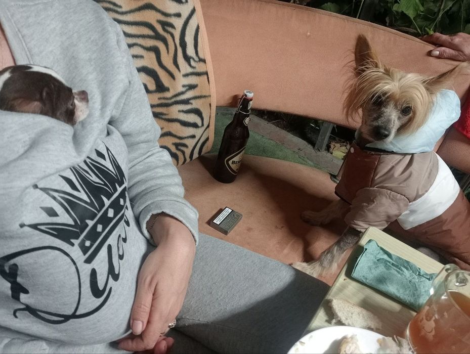 Хлопчик на годину)