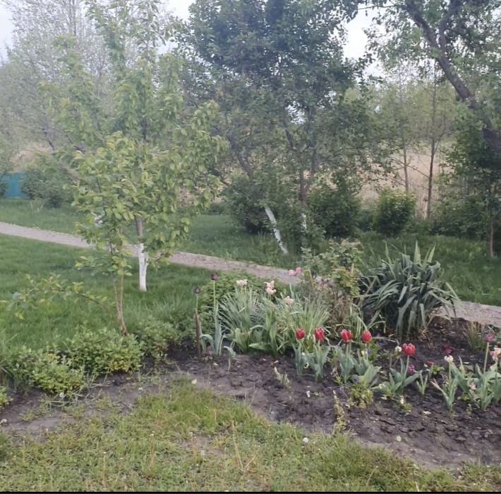 Колонщина. Будиночок з виходом на озеро