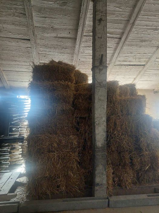 Продається тюки ячмінь та пшениця