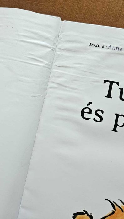 Livros infantis manuseados em bom estado - PAGAMENTO MBWAY