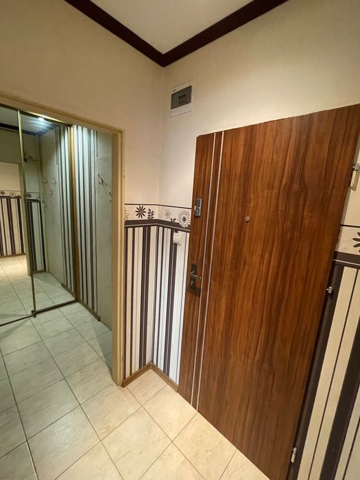 Wynajem mieszkania, kawalerka. Wola koło Pszczyny (woj. Śląskie)