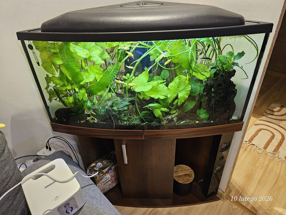 Akwarium narożne 200litrów z szafką