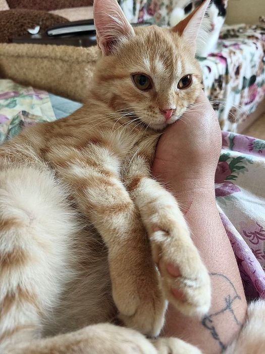 Хлопчик, 4,5 місяці