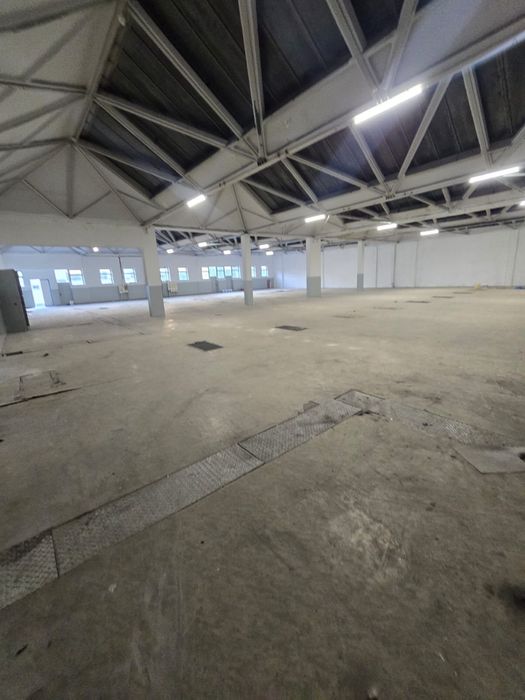 Wynajme hale centrum Lubina 1100m2