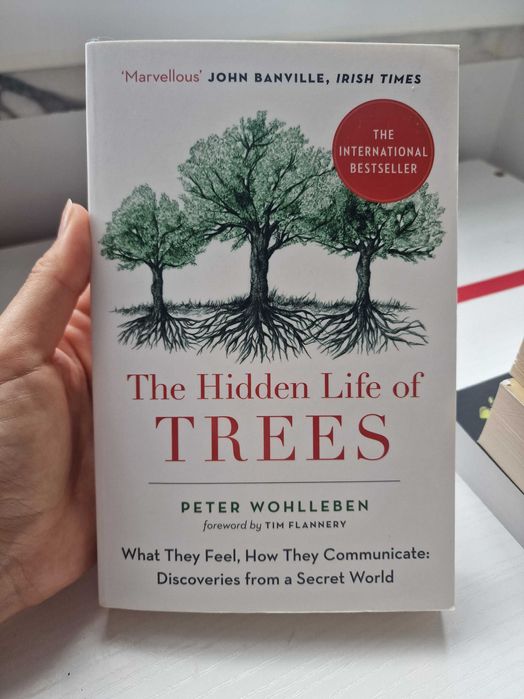 The hidden life of trees