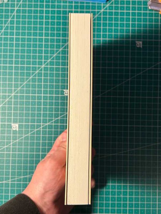 (COMO NOVO) O Mundo gay de António Botto - Anna Klobucka.