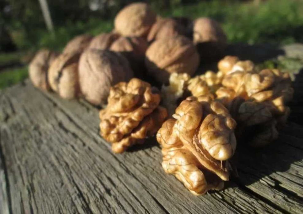 Orzechy włoskie łuskane 1 kg