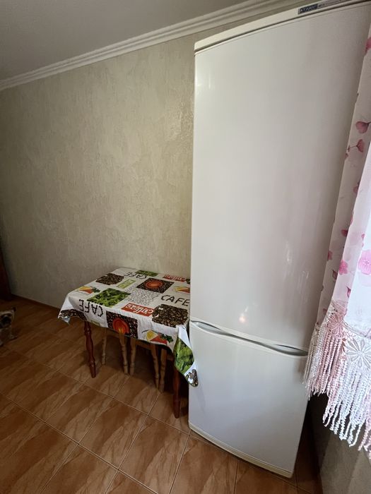 Здається 2-кімнатна квартира. Подобово