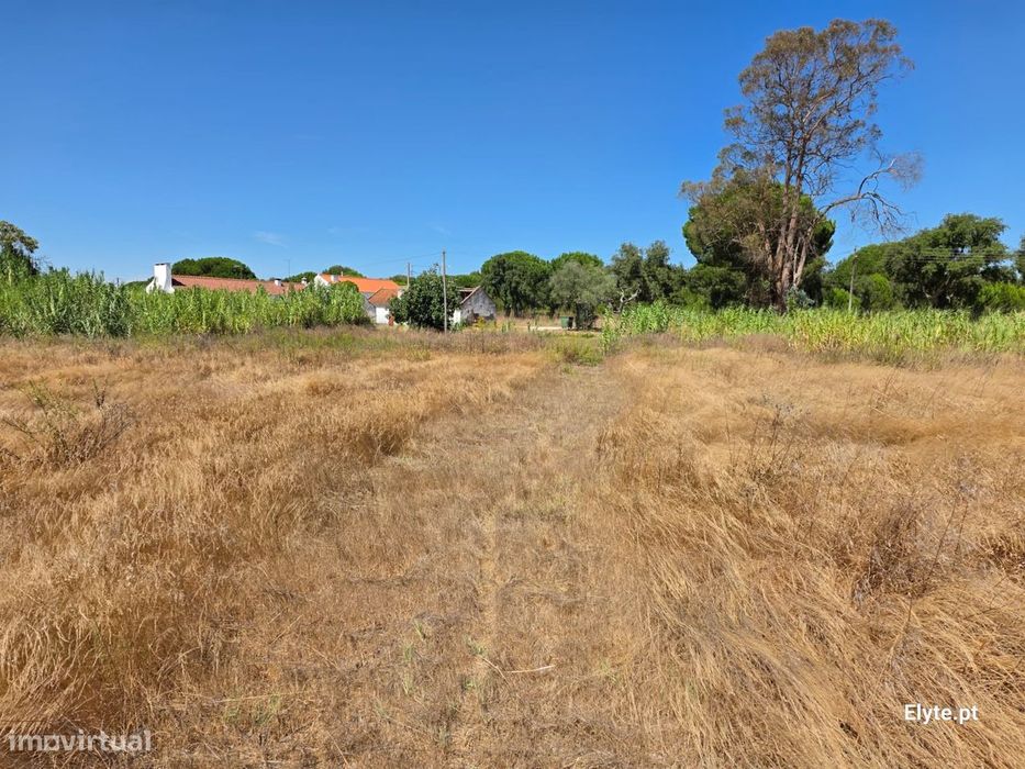 Moradia com terreno Urbano na Branca