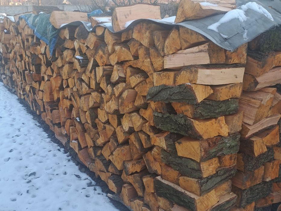 Drzewo kominkowe Olcha