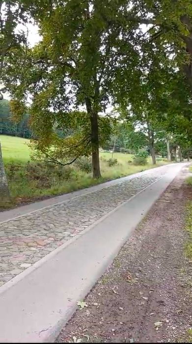 Wapnica k. Międzyzdrojów, piękna działka, pow. 1 210 m², wg MPZP: zabudowa jednorodzinna, na granicy Wolińskiego PN, dostęp do drogi - Więcej