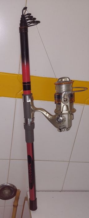 Conjunto cana e carreto