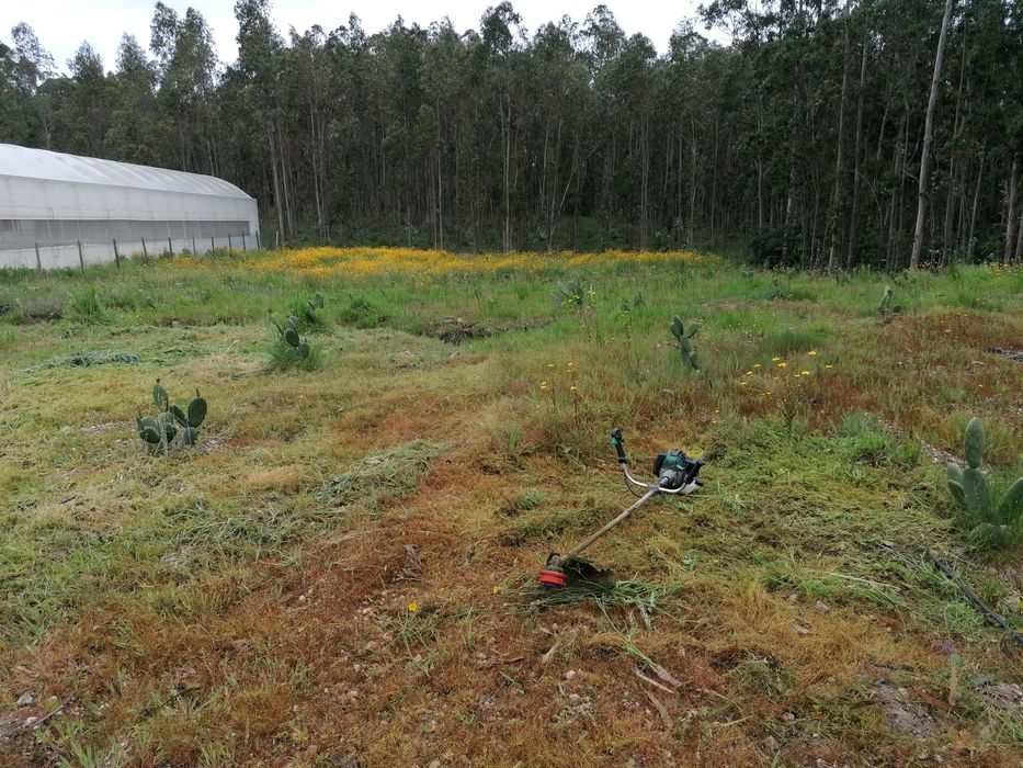 Trabalhos de Roçadora e Motoserra