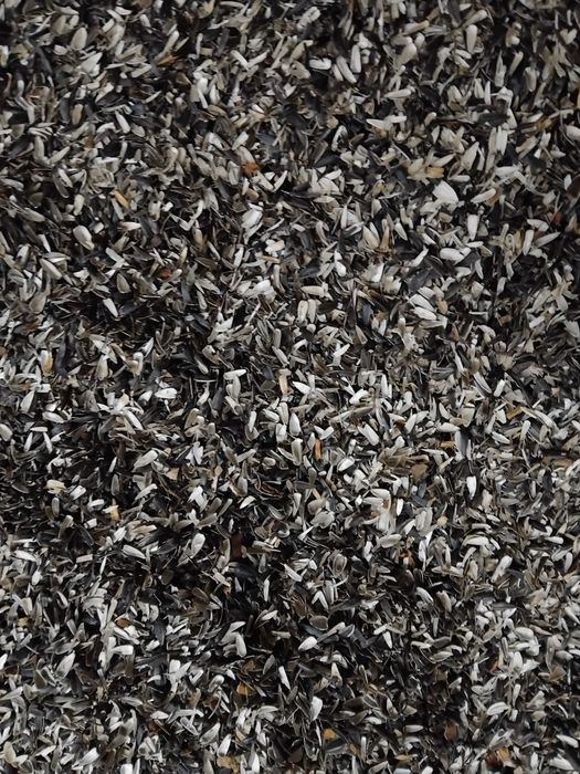 Продаж лушпиння соняшника, шелуха семечки!