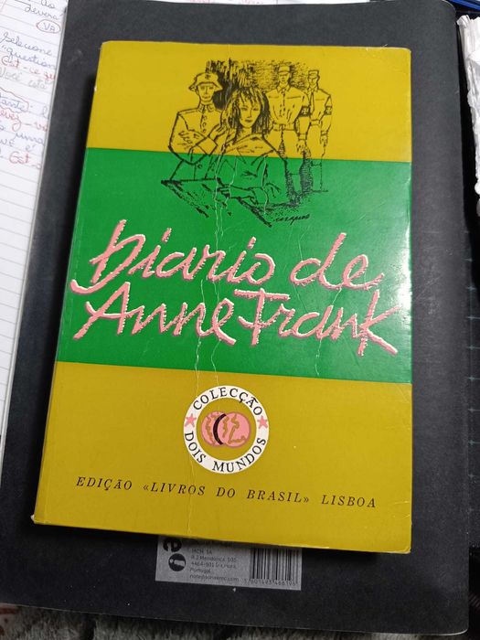 Diário de Anne Frank - Coleção Dois Mundos 352 páginas em bom estado.