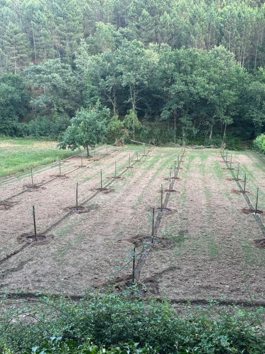 Terreno para Venda
