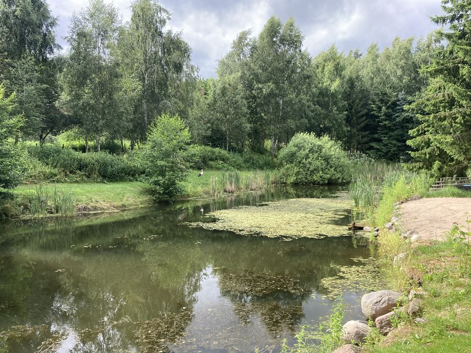 Noclegi , kwatery , Rooms . Czynne24/h