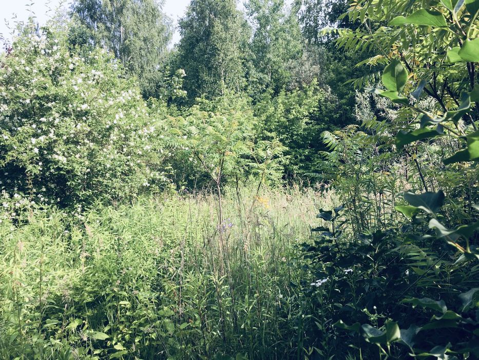 Земельна ділянка в Лісі 18сот. с.Вишнів, 10км.- Луцьк