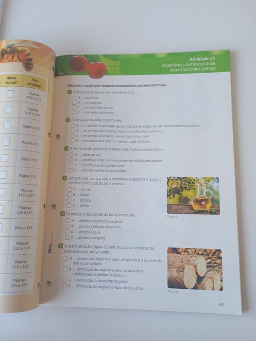 Cadernos de atividades 6° ano