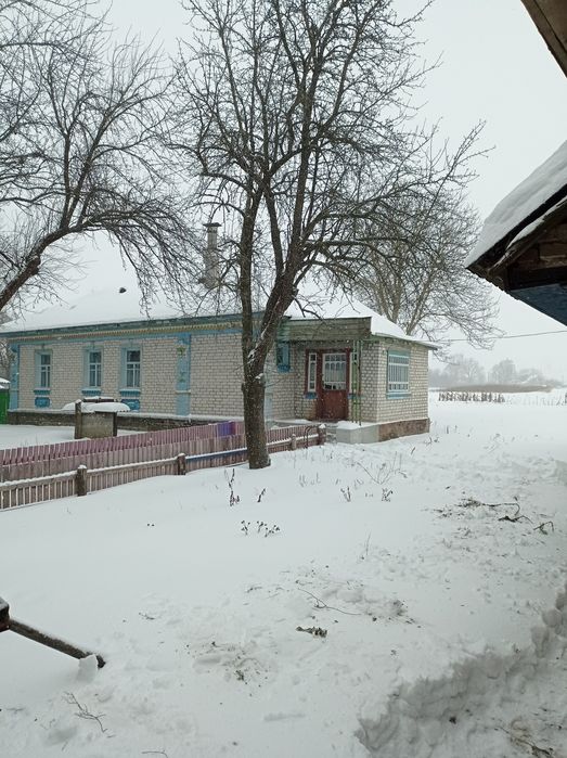 Будинок в с Олишівка. Каналізація. Є-ВІДНОВЛЕННЯ.