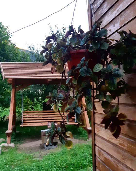 Будиночок для відпочинку.