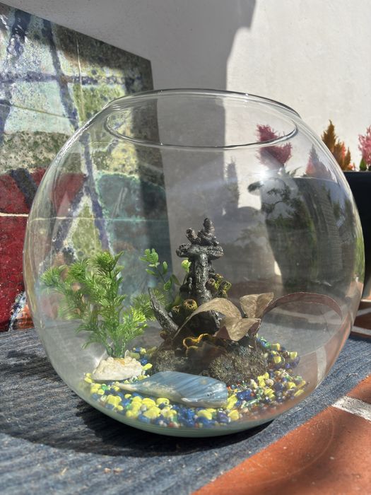 Aquário redondo com decoração e bomba de ar