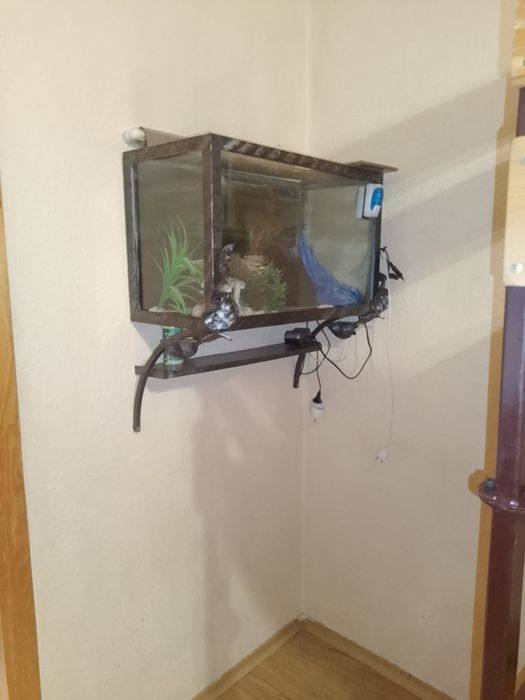 Акваріум великий