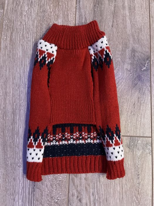 Костюм для домашньої тварини