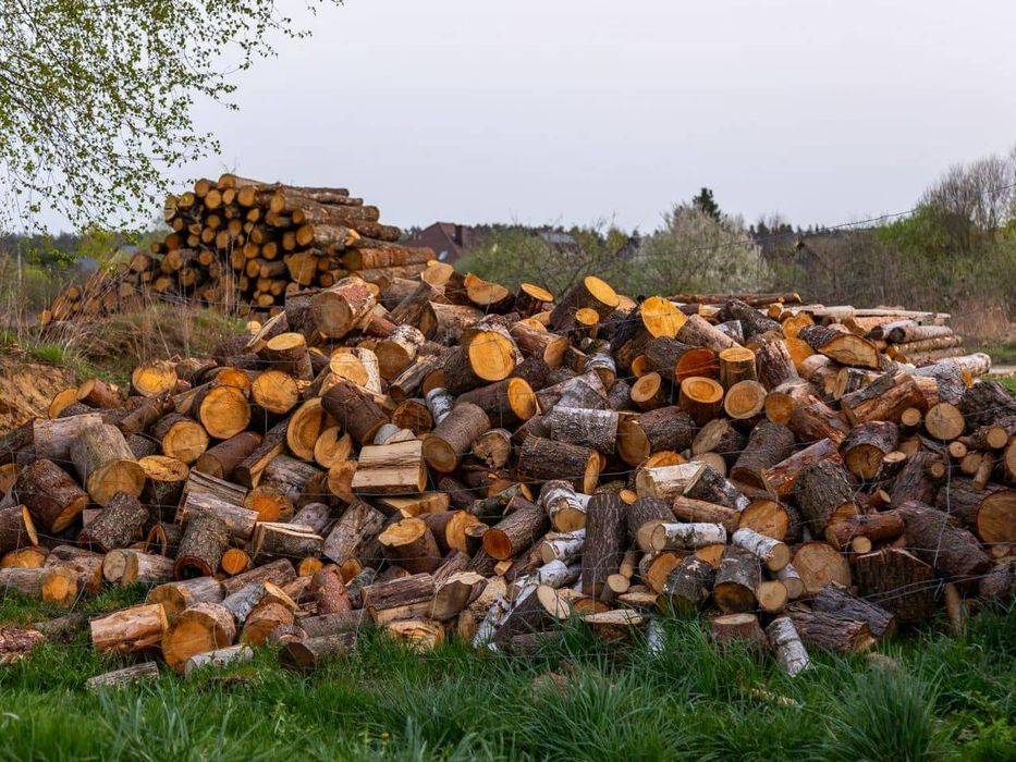Drewno liściaste
